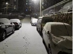 青島！大雪！大愛！